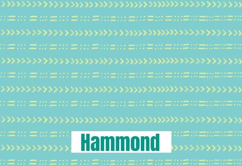 Show full view: Frisco Mudcloth Personalized Dog & Cat Placemat slide 4 of 7