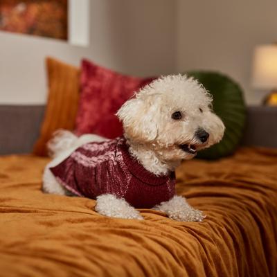 Show full view: Frisco Multi Cable Dog & Cat Sweater, Pink, XX-Large slide 6 of 9