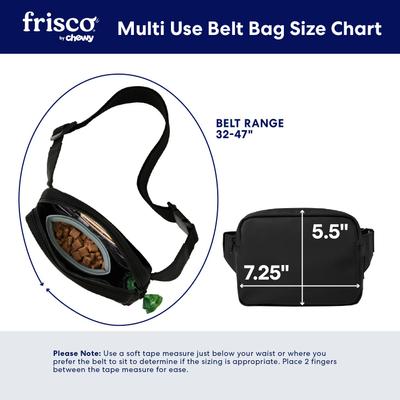 Show full view: Frisco Multi-Use Belt Bag, Black slide 2 of 8