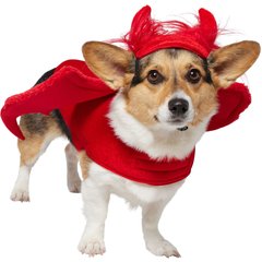 Frisco My Little Devil Dog & Cat Costume Accessory, Medium/Large
