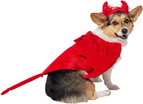 Show full view: Frisco My Little Devil Dog & Cat Costume Accessory, Medium/Large slide 4 of 10