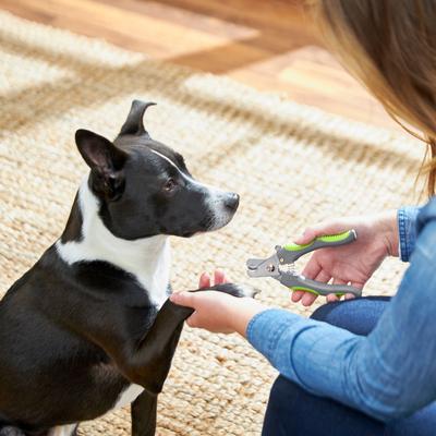 Show full view: Frisco Nail Trimmer for Dogs, Large slide 3 of 5