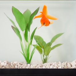 Frisco Natural Aquarium Gravel, 5-lb slide 2 of 2