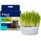 Show in main carousel: Frisco Natural Cat Grass Growing Kit slide 1 of 10