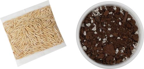 Show full view: Frisco Natural Cat Grass Growing Kit slide 3 of 10