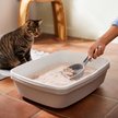 Show in main carousel: Frisco Natural Unscented Clumping Grass Cat Litter, 20-lb bag slide 5 of 9