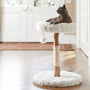 Frisco Natural Wood Modern Cat Tree with Toy, Ivory, Small