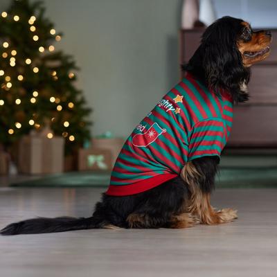 Show full view: Frisco Naughty, Nice, I Tried Dog & Cat T-Shirt, X-Small slide 6 of 8