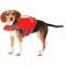 Show in main carousel: Frisco Neoprene Dog Life Jacket, Red, Small slide 1 of 13