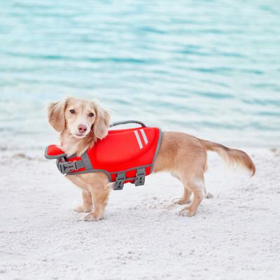 Show full view: Frisco Neoprene Dog Life Jacket, Red, X-Small slide 8 of 11