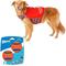 Show in main carousel: Frisco Neoprene Life Jacket, Large + Chuckit! Ultra Rubber Ball Tough Dog Toy, Medium slide 1 of 9