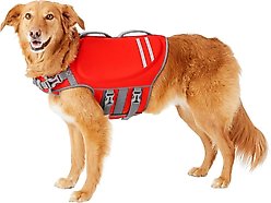 Frisco Neoprene Life Jacket, Large + Chuckit! Ultra Rubber Ball Tough Dog Toy, Medium slide 2 of 8