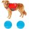 Show in main carousel: Frisco Neoprene Life Jacket, Large + Floating Fetch Ball No Squeak Dog Toy, Blue, Medium, 2-pack slide 1 of 9