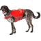 Show in main carousel: Frisco Neoprene Life Jacket, X-Large + Chuckit! Ultra Rubber Ball Tough Dog Toy, Medium slide 2 of 9
