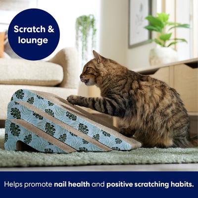 Show full view: Frisco Nesting Cat Scratcher Toy with Catnip, Tropical Paradise slide 3 of 5