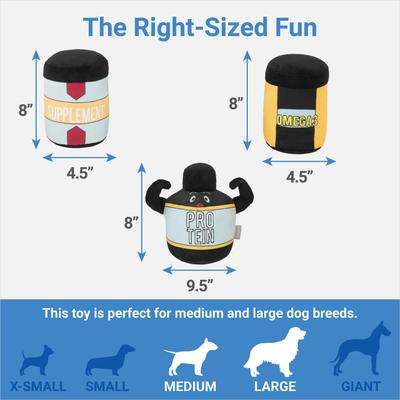 Show full view: Frisco New Year, New Me Protein Powder Plush Squeaky Dog Toy, 3 count slide 2 of 4