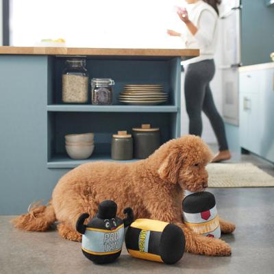 Show full view: Frisco New Year, New Me Protein Powder Plush Squeaky Dog Toy, 3 count slide 3 of 4