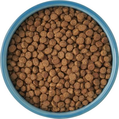 Show full view: Frisco New York Non-skid Ceramic Cat Bowl, Multi Color, 1.5 cup, 1 count slide 6 of 8