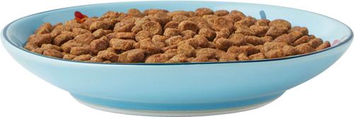Show full view: Frisco New York Non-skid Ceramic Cat Dish, Multi Color, 0.5 cup, 1 count slide 7 of 10