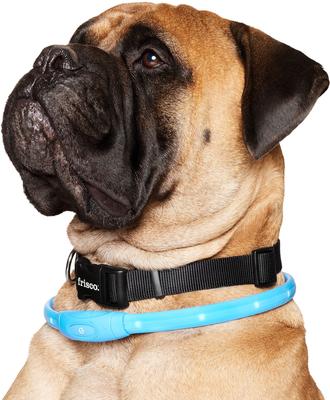 Show full view: Frisco Nighttime Safety LED Necklace, Large/X-Large slide 3 of 9