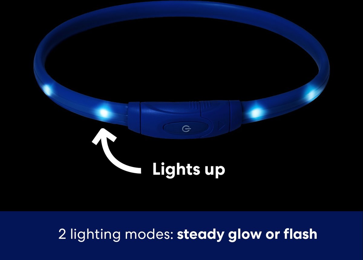 Frisco Nighttime Safety LED Necklace