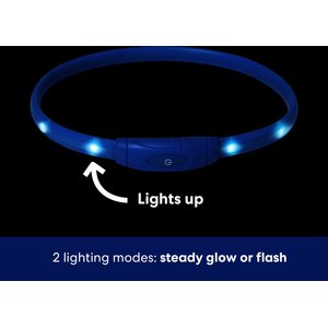 Frisco Nighttime Safety LED Necklace, Large/X-Large