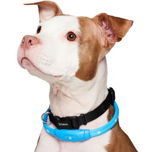 Frisco Nighttime Safety LED Necklace, Medium