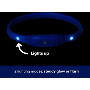 Frisco Nighttime Safety LED Necklace, Medium