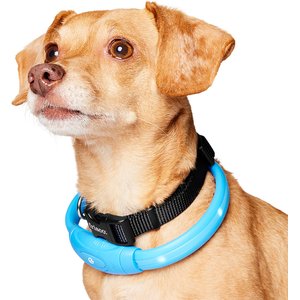 Frisco Nighttime Safety LED Necklace, Small