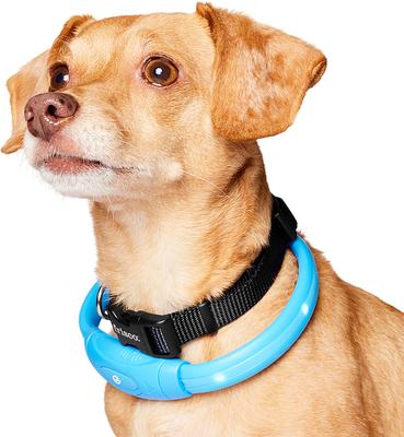 Show full view: Frisco Nighttime Safety LED Necklace, Small slide 3 of 9