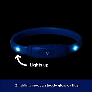 Frisco Nighttime Safety LED Necklace, Small
