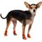 Show in main carousel: Frisco Non-Skid Colorblock Dog Socks, Size 1 slide 1 of 9