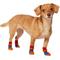 Show in main carousel: Frisco Non-Skid Colorblock Dog Socks, Size 2 slide 1 of 10