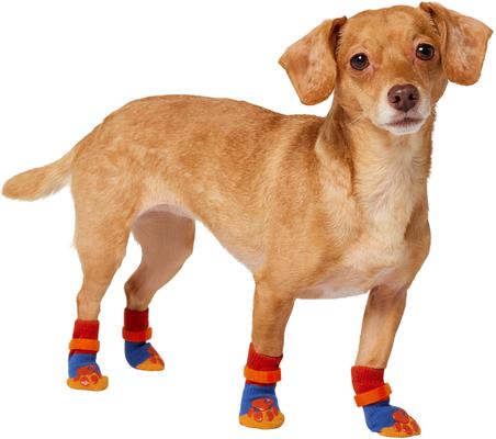 Show full view: Frisco Non-Skid Colorblock Dog Socks, Size 2 slide 1 of 10