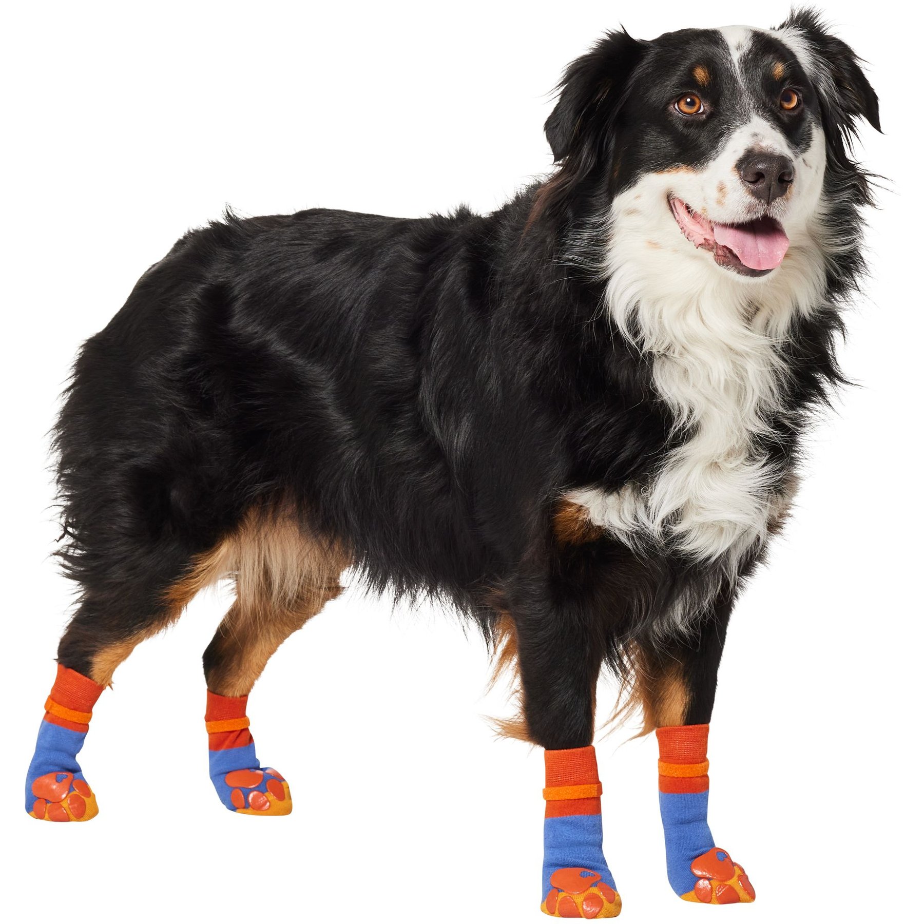 Frisco Non-Skid Colorblock Dog Socks, Size 6