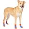 Show in main carousel: Frisco Non-Skid Colorblock Dog Socks, Size 7 slide 1 of 9