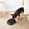 Show in main carousel: Frisco Non-Skid Slow Feeder Dog & Small Pet Bowl, Black, Medium: 4 cup slide 6 of 8