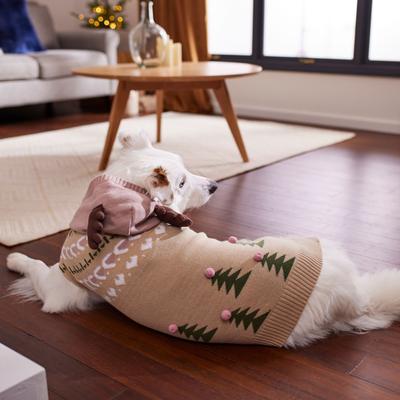 Show full view: Frisco Nordic Fair Isle Dog & Cat Hooded Sweater, Small slide 6 of 9