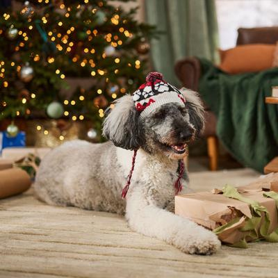 Show full view: Frisco Nordic Pawprint Dog & Cat Hat, X-Large/XX-Large slide 5 of 8