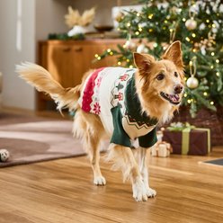 christmas dresses for dogs Dog Outfits & Clothing (Free Shipping) Dog wedding dress Color:Cream Petals FP9.11.25 Trending: Shades of Blue Is made out of