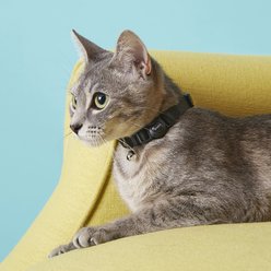 Frisco Nylon Breakaway Cat Collar with Bell, Black, 8 to 12-in neck, 3/8-in wide slide 2 of 5