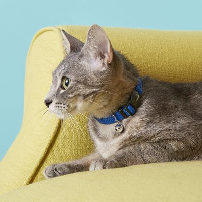 Show full view: Frisco Nylon Breakaway Cat Collar with Bell, Blue, 8 to 12-in neck, 3/8-in wide slide 2 of 7