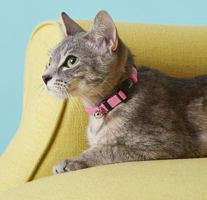 Show full view: Frisco Nylon Breakaway Cat Collar with Bell, Pink, 8 to 12-in neck, 3/8-in wide slide 2 of 7