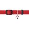 Show in main carousel: Frisco Nylon Breakaway Cat Collar with Bell, Red, 8 to 12-in neck, 3/8-in wide slide 4 of 8