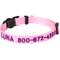 Show in main carousel: Frisco Nylon Personalized Breakaway Cat Collar with Bell, Pink, 8 to 12-in neck, 3/8-in wide slide 1 of 8