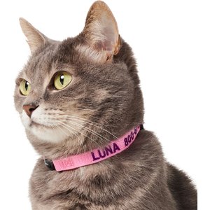 Frisco Nylon Personalized Breakaway Cat Collar with Bell, Pink, 8 to 12-in neck, 3/8-in wide