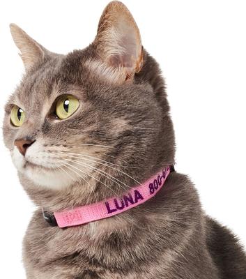 Show full view: Frisco Nylon Personalized Breakaway Cat Collar with Bell, Pink, 8 to 12-in neck, 3/8-in wide slide 4 of 8