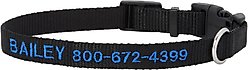 Frisco Nylon Personalized Dog Collar, Black, Small: 10 to 14-in neck, 5/8-in wide