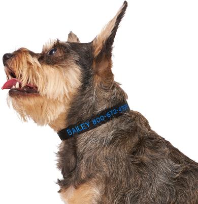 Show full view: Frisco Nylon Personalized Dog Collar, Black, Small: 10 to 14-in neck, 5/8-in wide slide 6 of 9