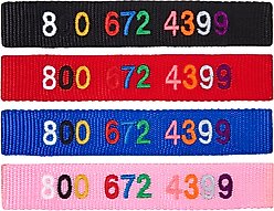 Frisco Nylon Personalized Dog Collar, Blue, Medium: 14 to 20-in neck, 3/4-in wide slide 2 of 7